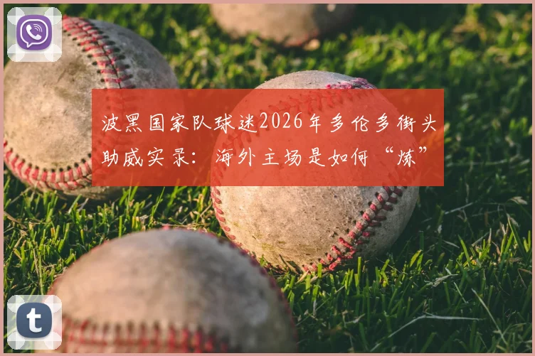 波黑国家队球迷2026年多伦多街头助威实录：海外主场是如何“炼”成的？球迷文化与地域归属感深度观察