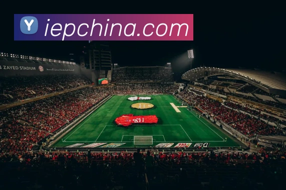 对战数据统计